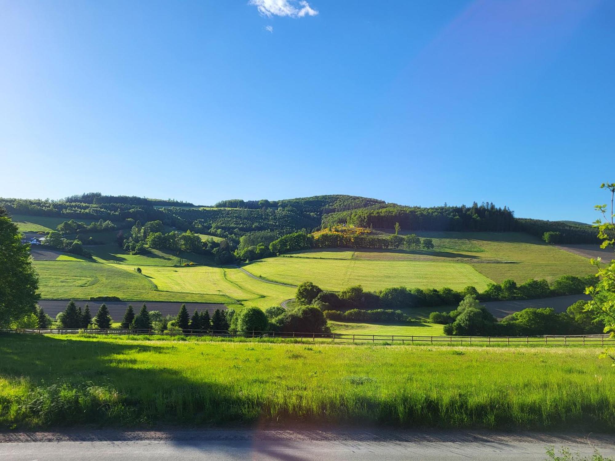 Lausebuche Im Sauerland Apartamento Lennestadt Exterior foto